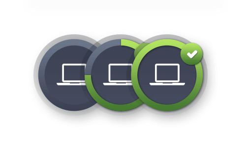 What do the circles mean?