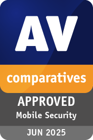 Mobile Security Review 2025